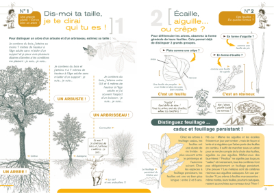 Déjouez les trompe-l'œil des arbres