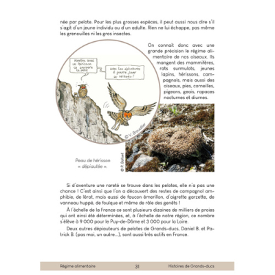 Histoires de Grands-Ducs