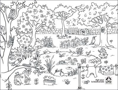 Set de table à colorier réutilisable - La mare