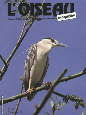 L'Oiseau Mag n° 24