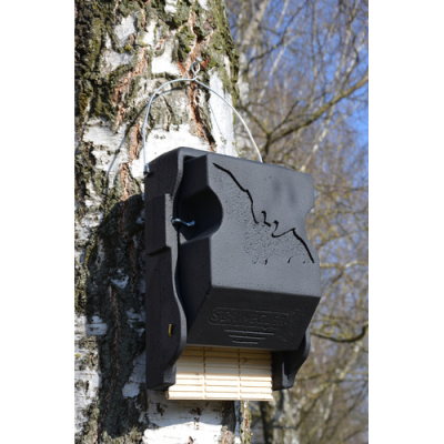 Gîte à chauve-souris Schwegler 3FF, avec trappe d'inspection