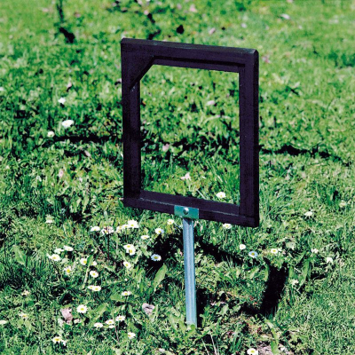 Cadre d'observation pour araignées Schwegler