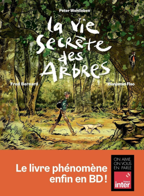 La vie secrète des arbres, la BD