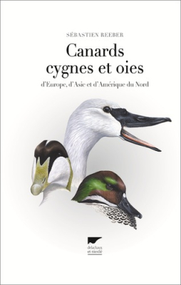 Canards cygnes et oies d'Europe, Asie, Amérique du Nord