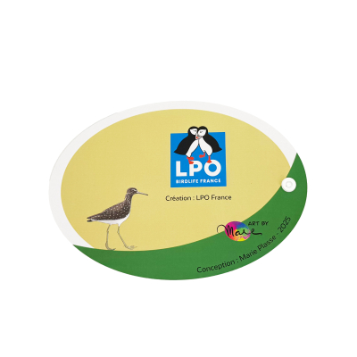 Éventail pédagogique LPO - Identifier les limicoles