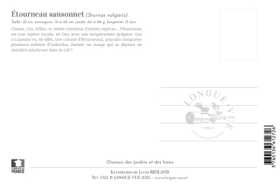 Carte postale naturaliste - Étourneau sansonnet