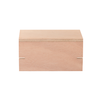 Nid simple Alaris Hirondelles de fenêtre