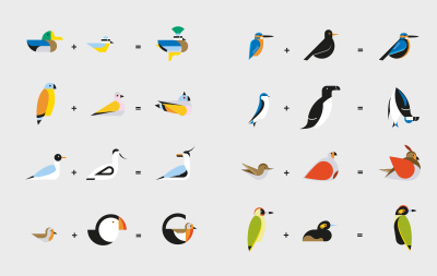 Oiseau + Oiseau, La mathématique des oiseaux