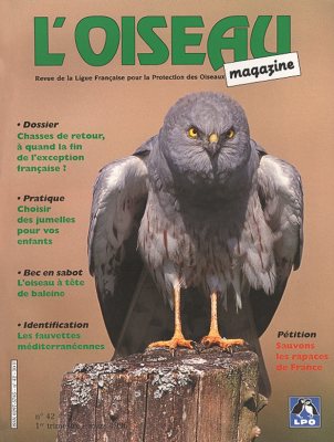 L'Oiseau Mag n° 42