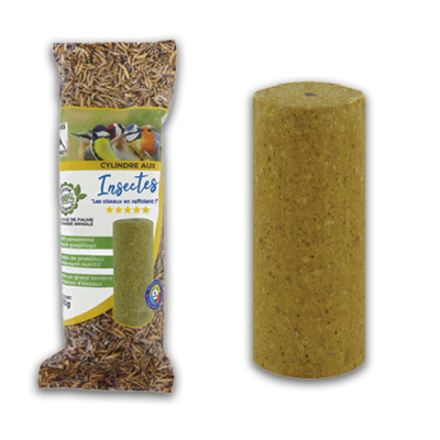 Cylindre géant aux insectes