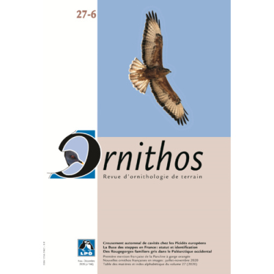 Ornithos N°27/6, Novembre-Décembre 2020