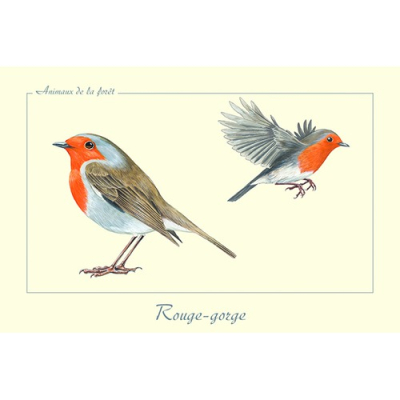 Carte Postale simple 10 X 15 cm Rougegorge