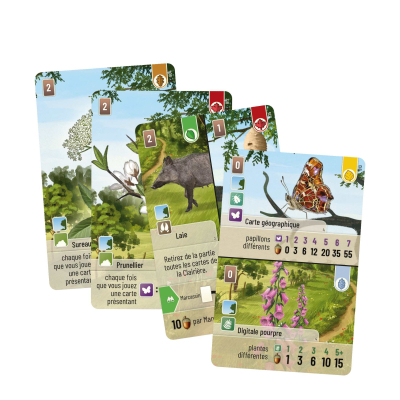 Forêt mixte - Extension Lisière de forêt