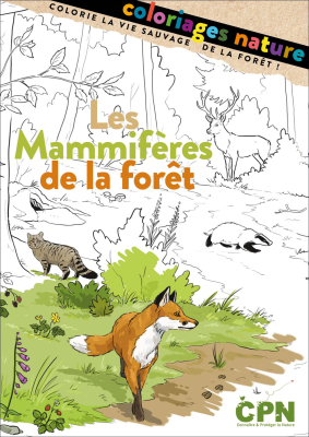 Cahier de coloriages Les mammifères de la forêt