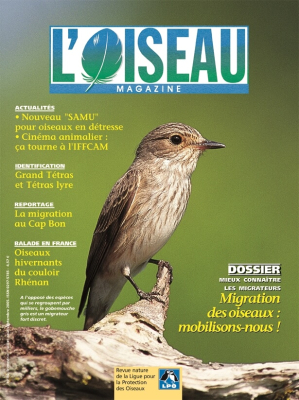 L'Oiseau Mag n° 80