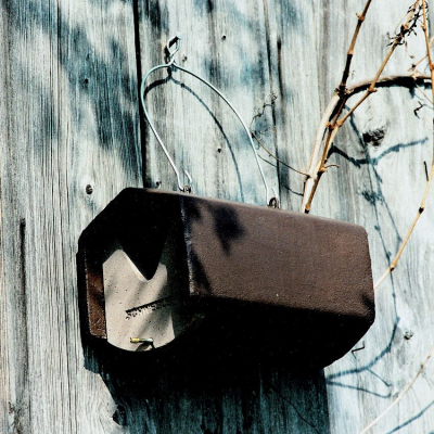 Nichoir Schwegler 2HW semi-ouvert