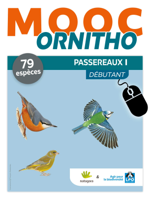 MOOC Ornitho - Passereaux 1 