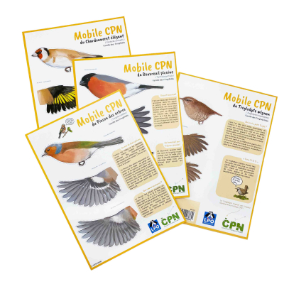 Lot de 4 mobiles Oiseaux n°2 - LPO x CPN