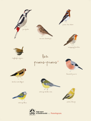 Affichette LPO 30 x 40 cm - Les Pioupioux