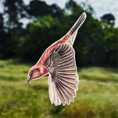 Anti-collisions électrostatiques Oiseaux des montagnes - Lot de 4
