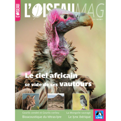 L'Oiseau Mag n° 127