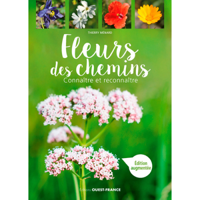 Fleurs des chemins