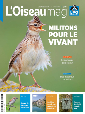 L'Oiseau Magazine N°164 - Automne 2026