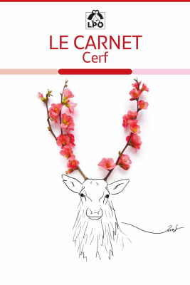 Carnet LPO - Cerf