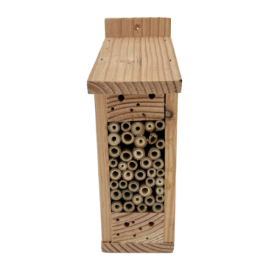 Gîte abeilles solitaires