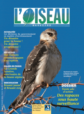 L'Oiseau Mag n° 74