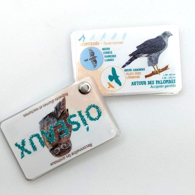 Guide de reconnaissance de la faune et de la flore - Les rapaces