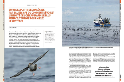 Ornithos n°171 - 2ème trim. 2025