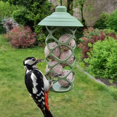 Mangeoire à graisse à suspendre