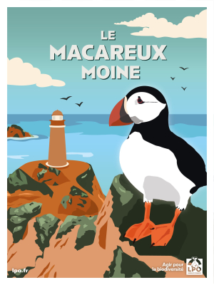 Carte postale LPO vintage Macareux