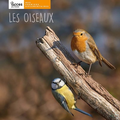 Mes premiers documentaires - Les oiseaux