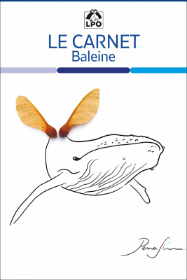 Carnet LPO - Baleine