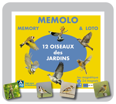 Memolo XL - 12 oiseaux des jardins