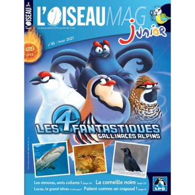L'Oiseau Magazine Junior n°45