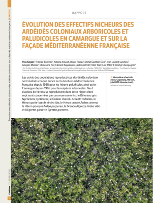 Ornithos n°172 - 3ème trim. 2025