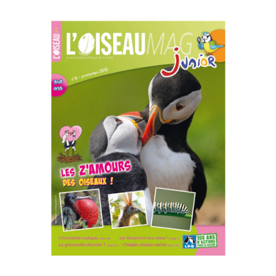 L'Oiseau Magazine Junior N°6