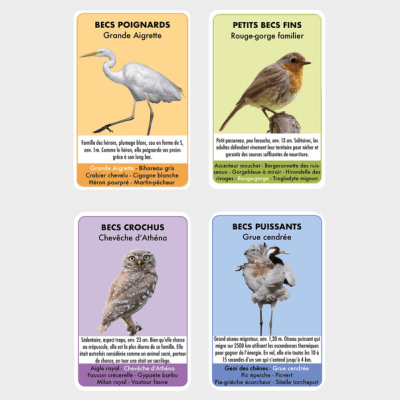 Jeu de 7 familles des becs