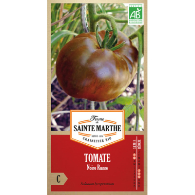 Graines Bio Tomate Noire de Russie