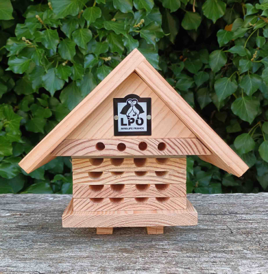 Ruche interactive LPO pour abeilles