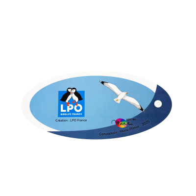 Éventail pédagogique LPO - Identifier les oiseaux marins