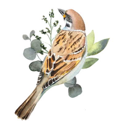 Mug LPO Moineau friquet