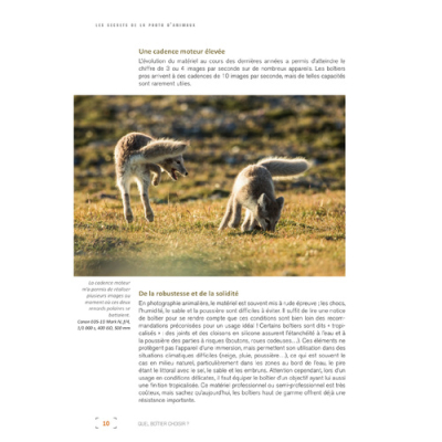 Les secrets de la photo d'animaux