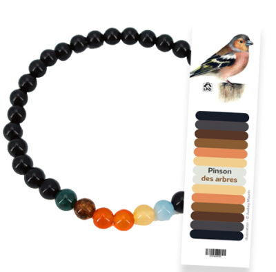 Bracelet LPO Perles de Plume 6mm Pinson, L