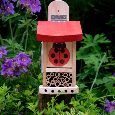 Tour à coccinelles interactive