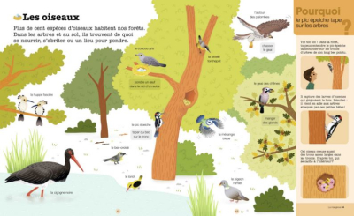 Mes années pourquoi, La Forêt