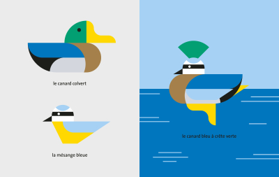 Oiseau + Oiseau, La mathématique des oiseaux